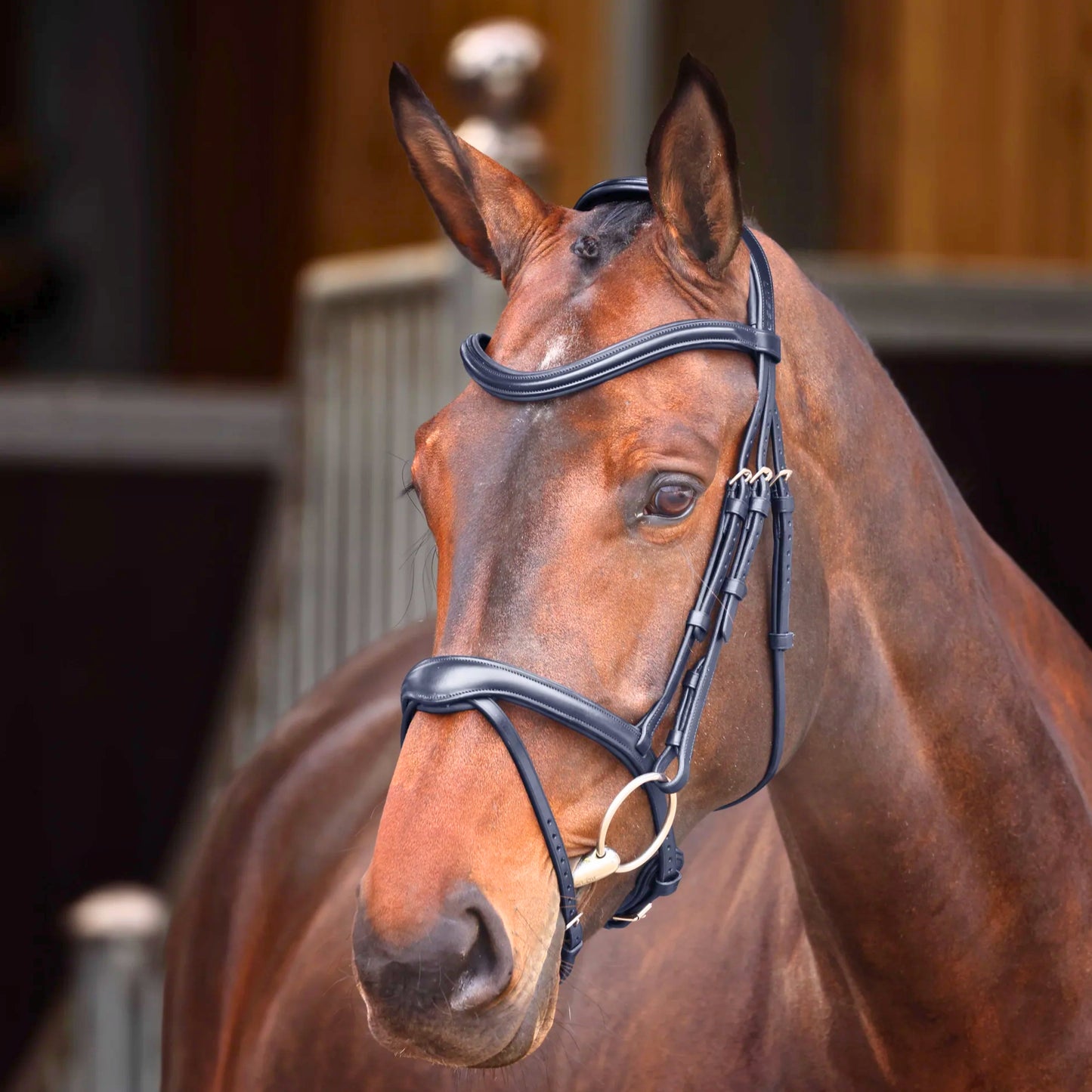 Shires Velociti Lusso Elite Flash Bridle