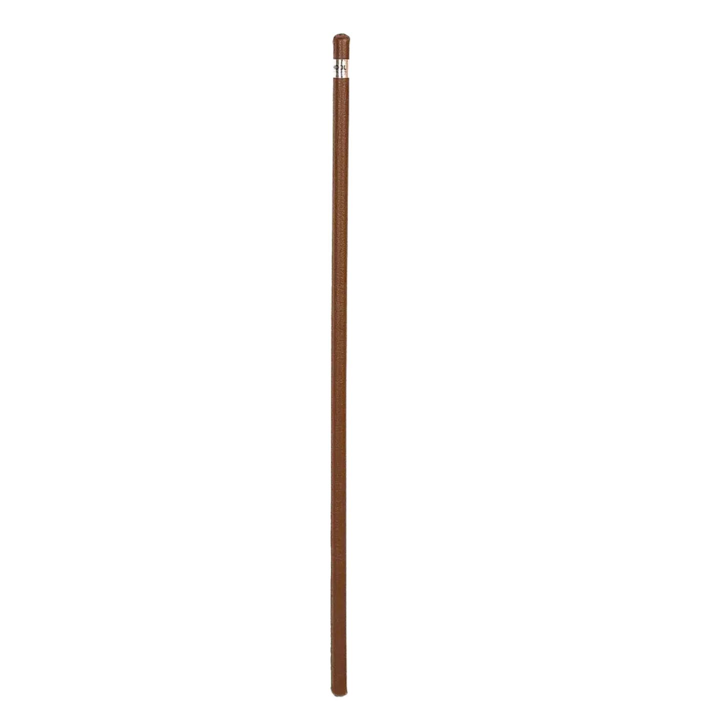 Hy Equestrian Leather Cane