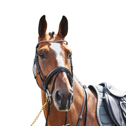 John Whitaker Barton Bling Bridle