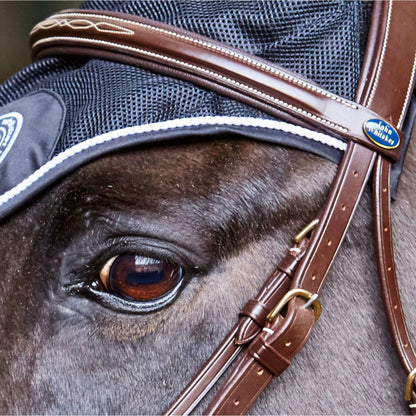 John Whitaker Valencia Mexican Bridle