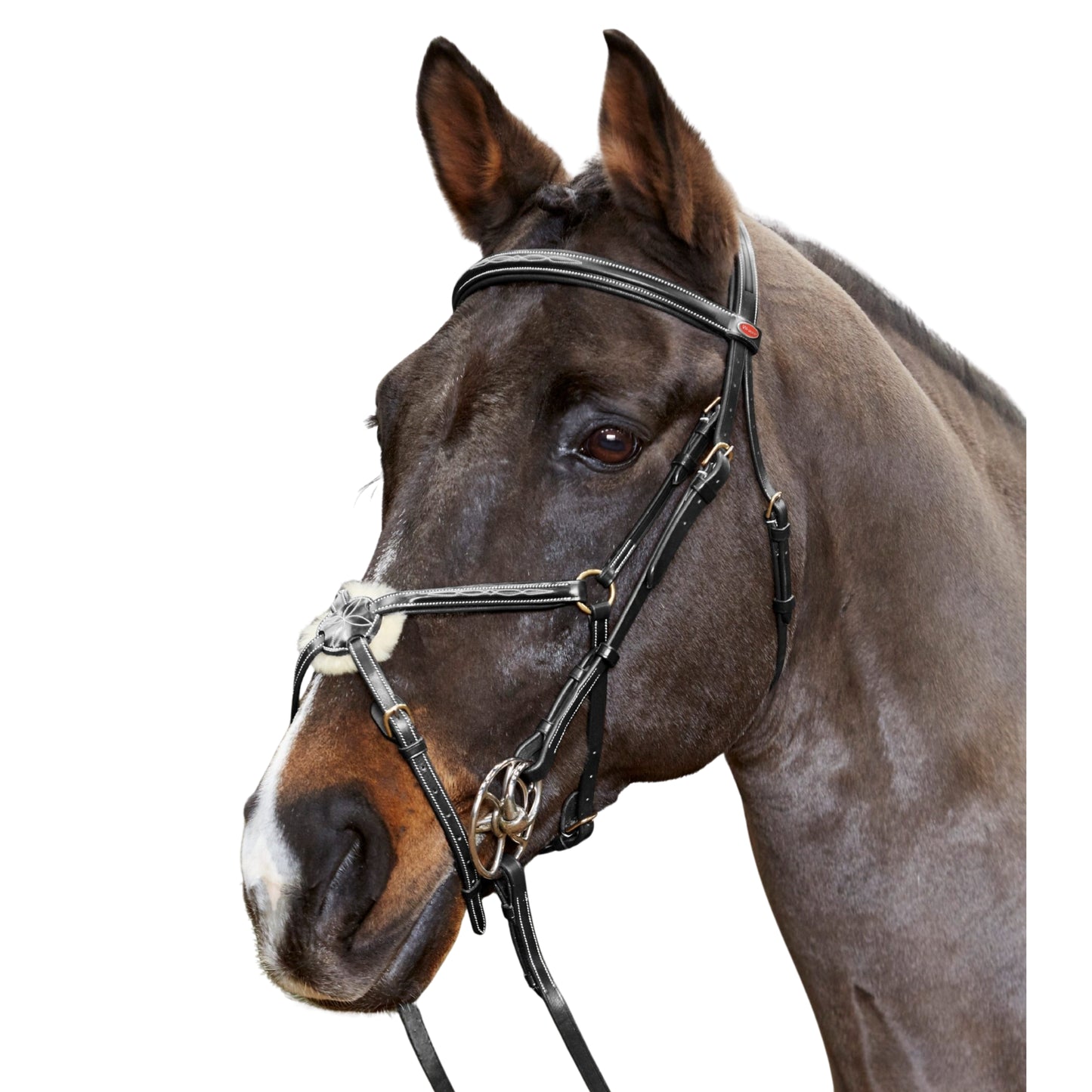 John Whitaker Valencia Mexican Bridle