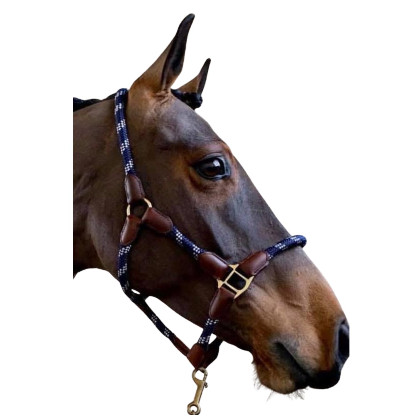 Holmestead Orlena Headcollar