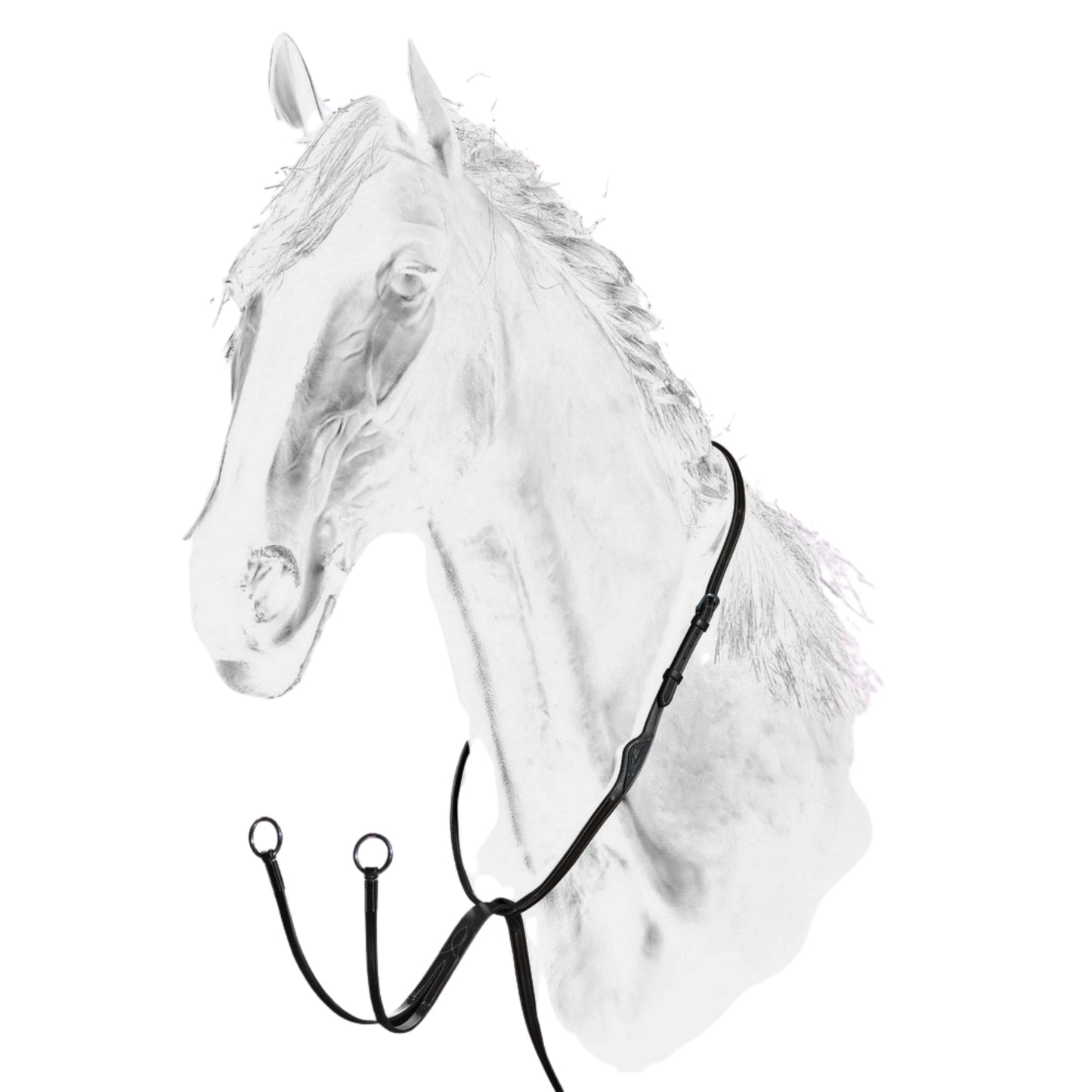 Equiline Running Martingale