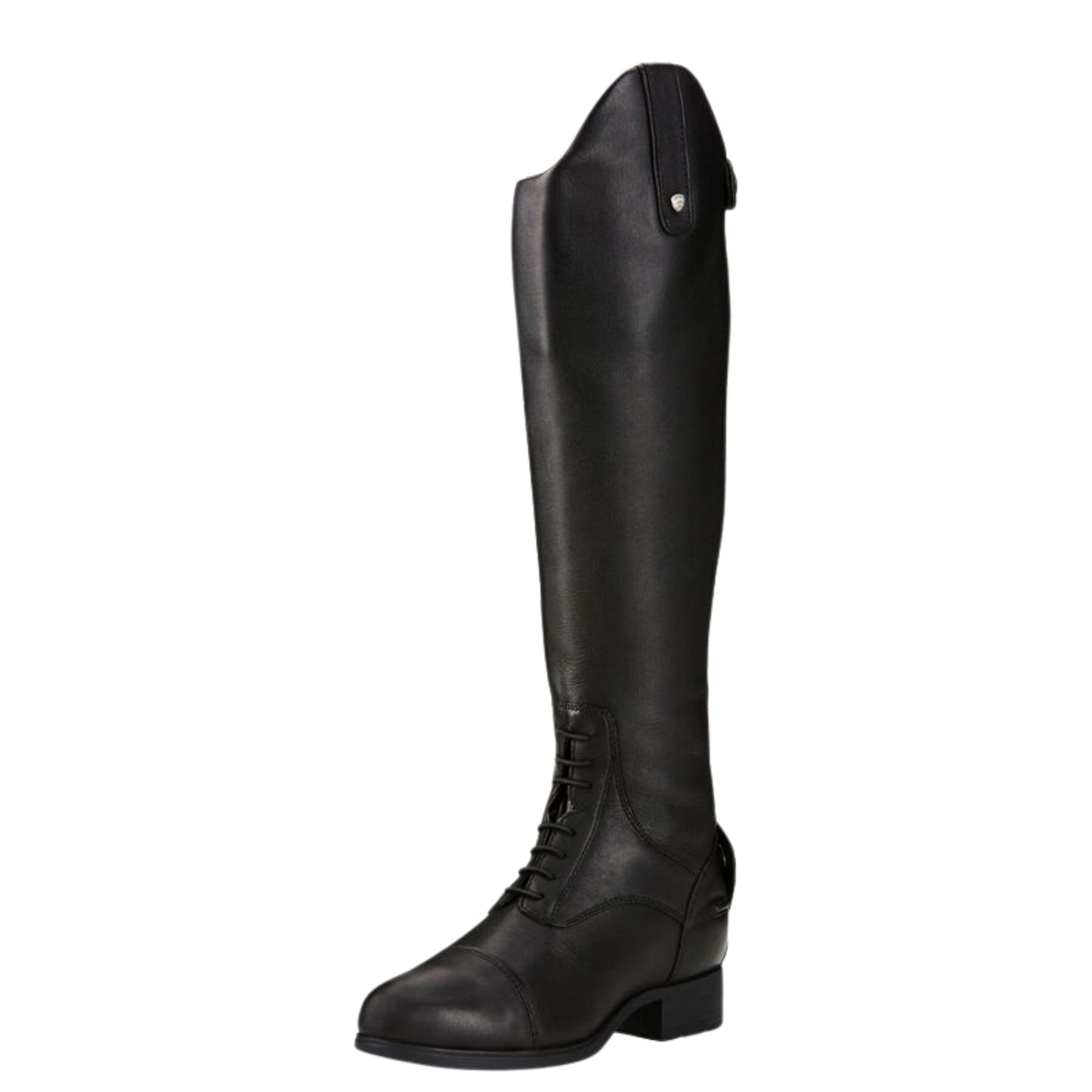 Ariat Bromont Pro Tall H2O Insulated Boots Women's (Tall Height) Black