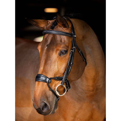 Le Mieux Kudos Clear Arc Bridle
