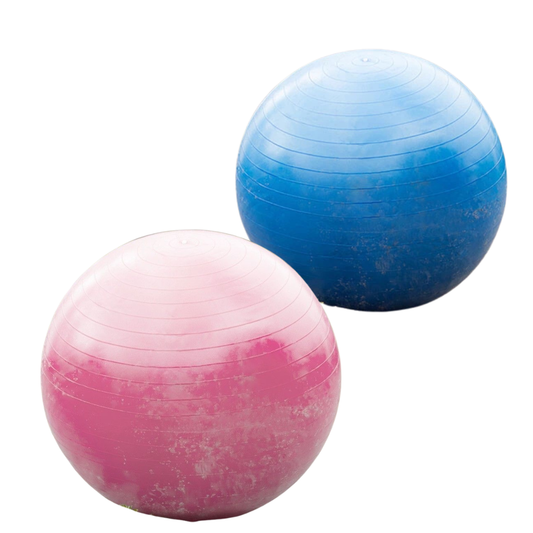 QHP Horse football 100 cm