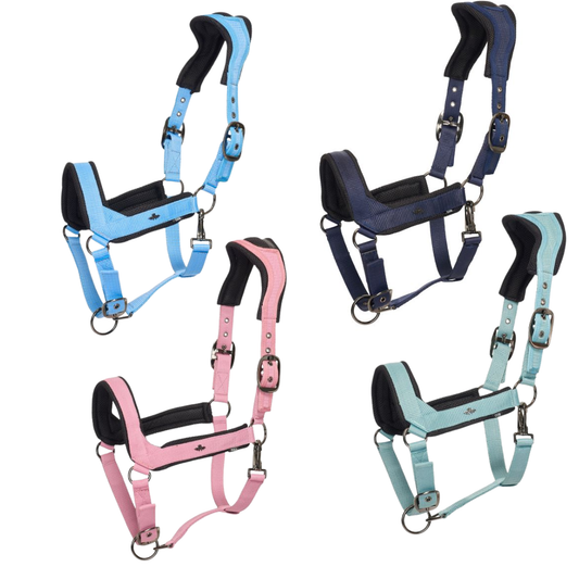 HV. POLO Headcollar HVP Esther