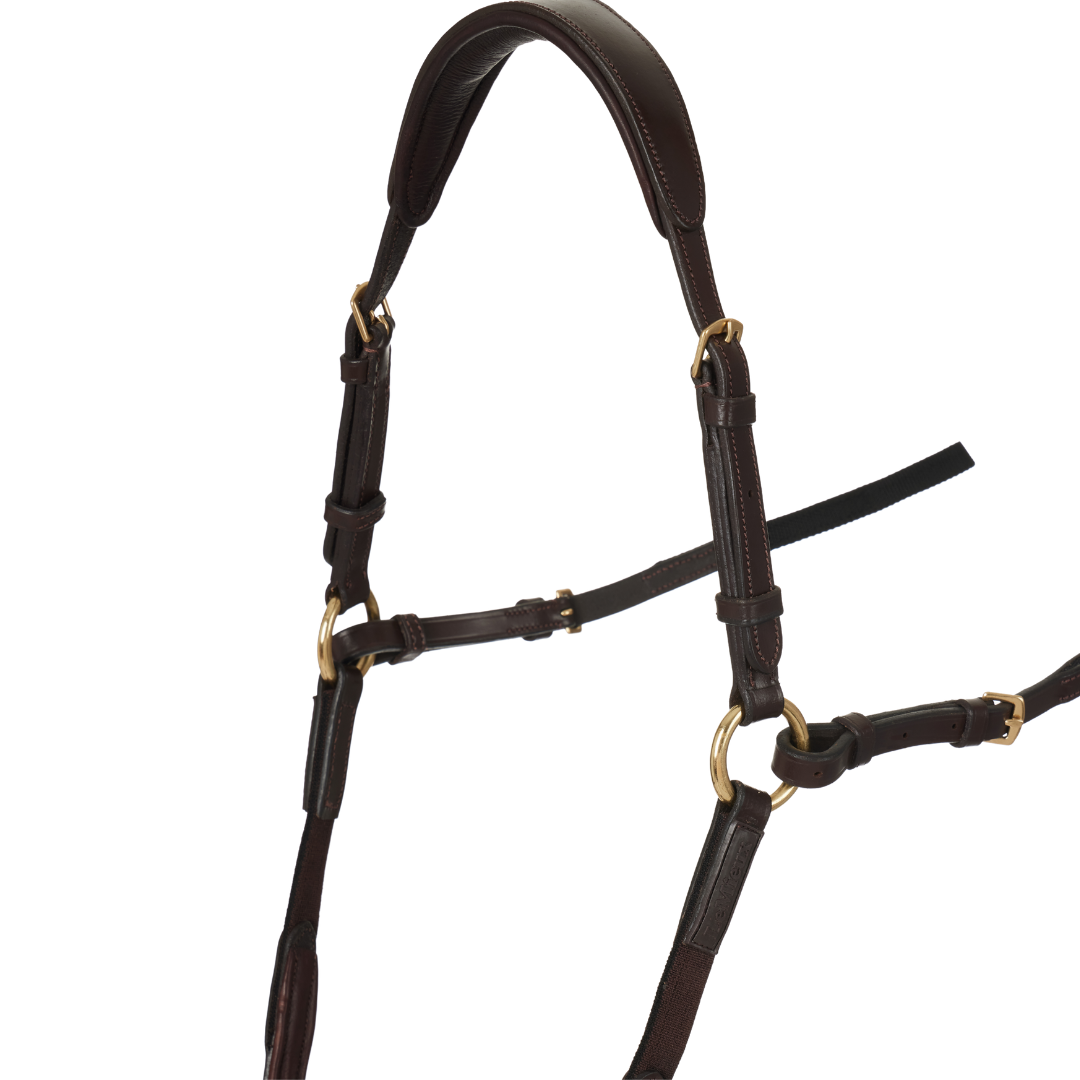 LeMieux Breastplate D-Ring Attachment