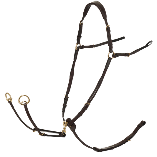 LeMieux Breastplate D-Ring Attachment