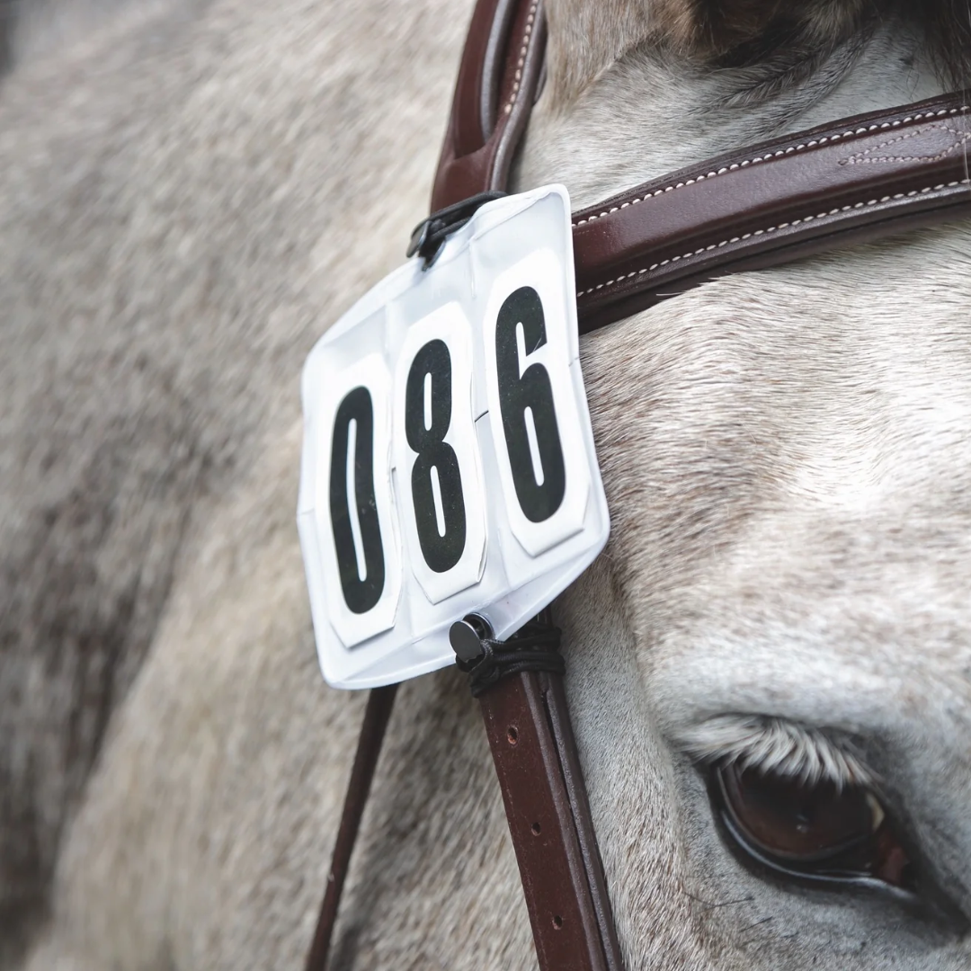 Shires Competition Number Kit