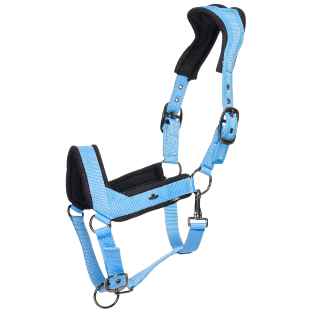 HV. POLO Headcollar HVP Esther