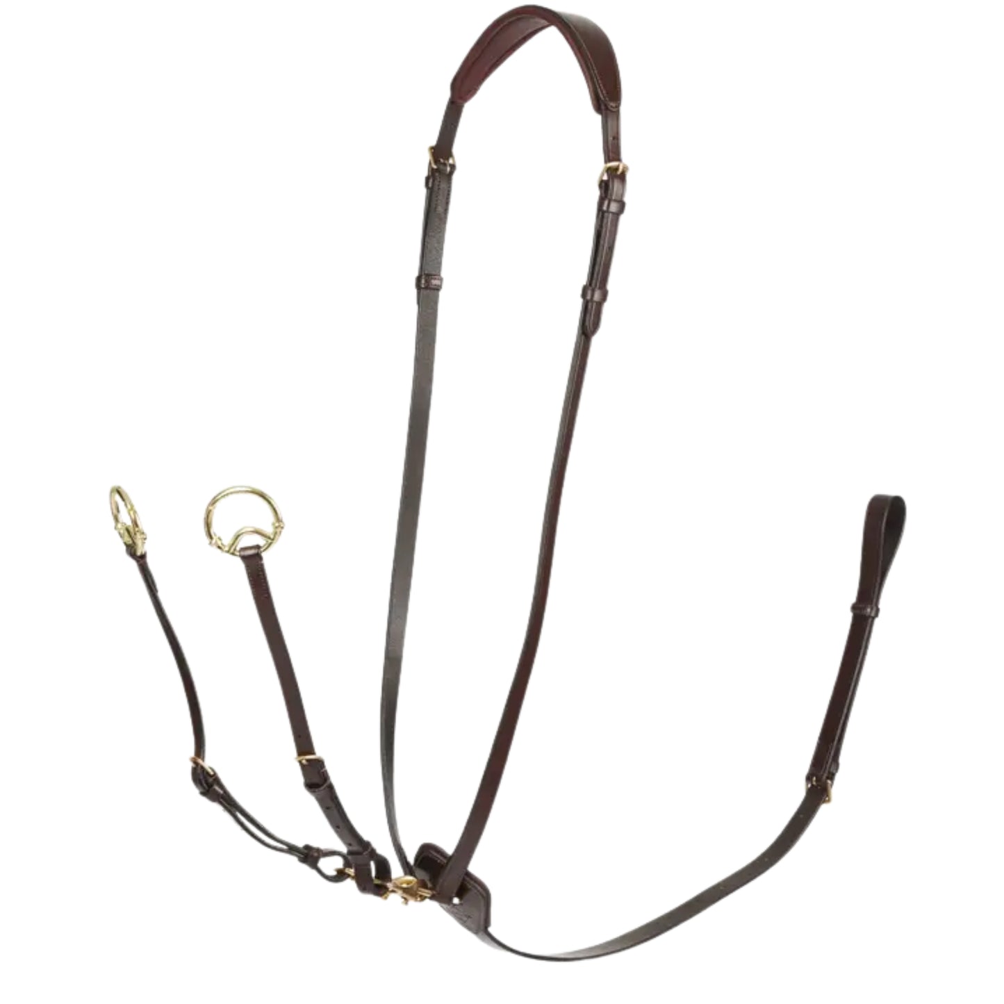 LeMieux Kudos Running Martingale