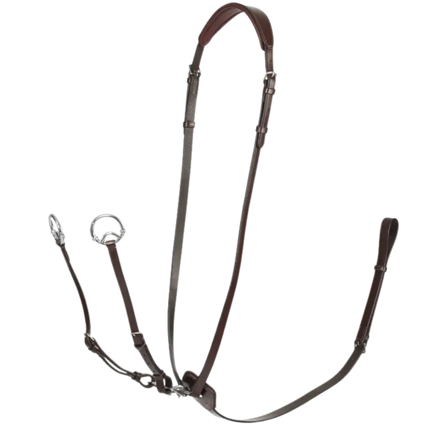 LeMieux Kudos Running Martingale