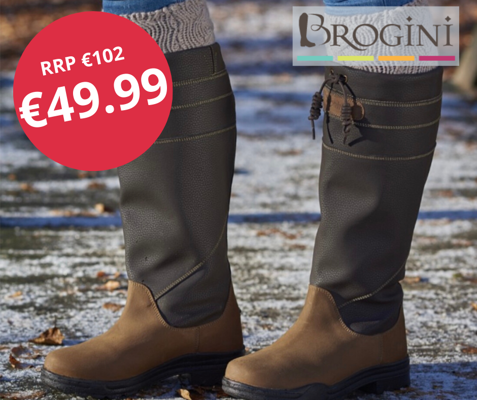 brogini boots sale