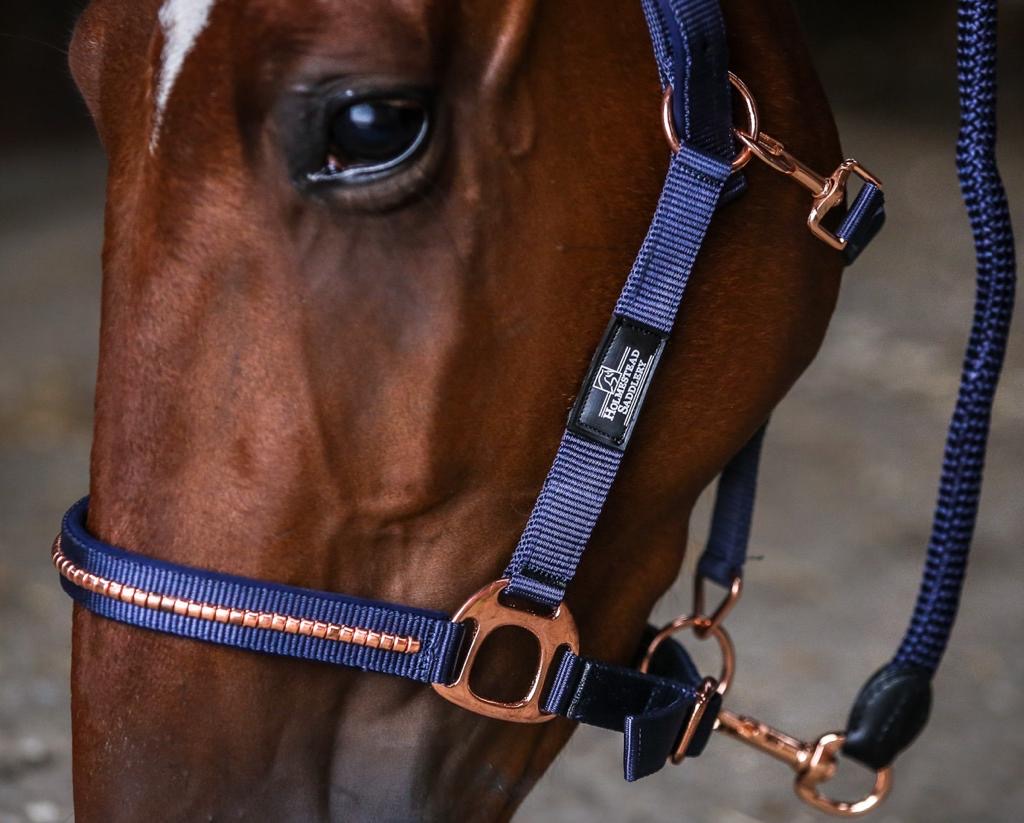 Deluxe Harry's Horse Denici Cavalli Glitter Rose Gold Headcollar & Lead Rope Set 